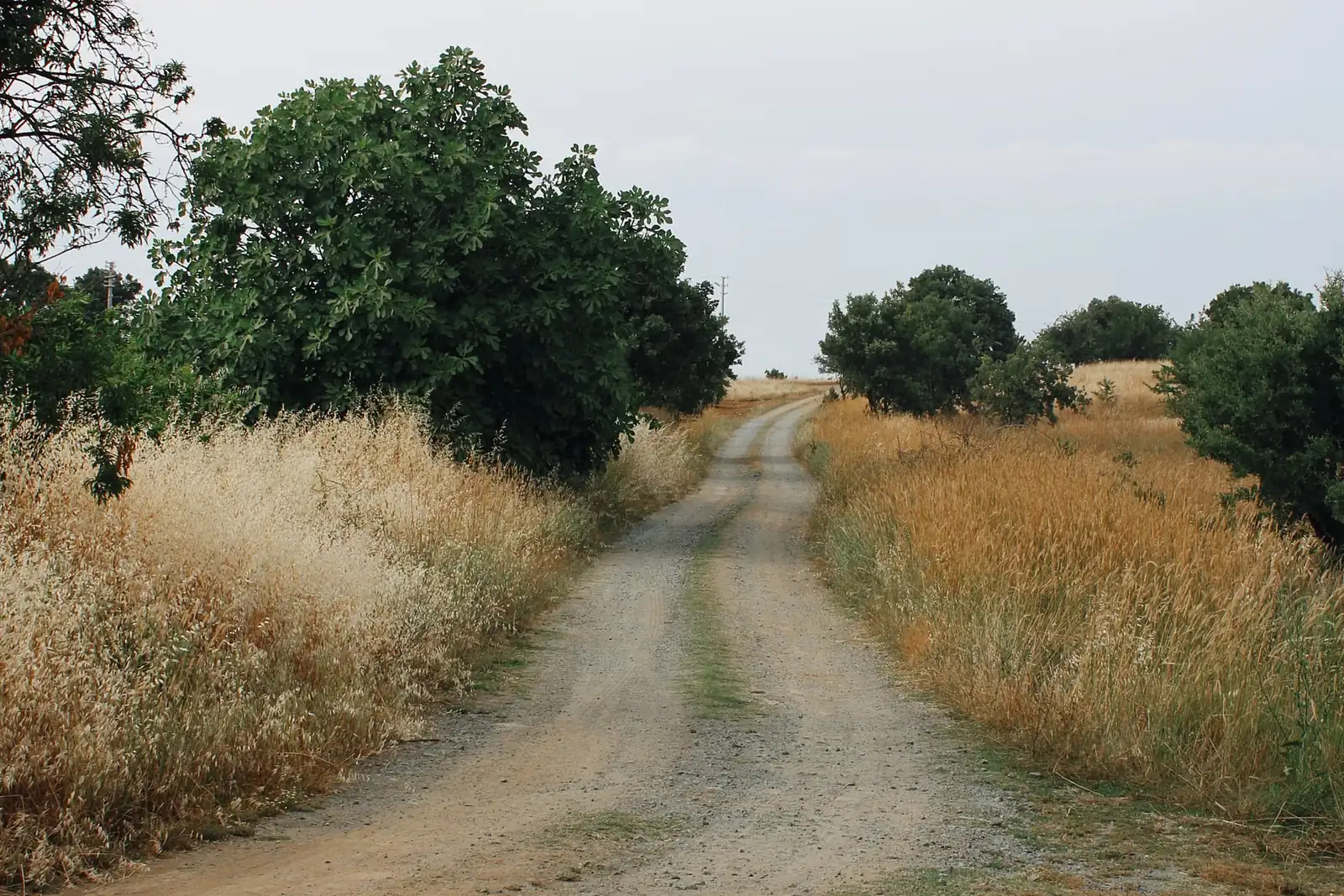 Chemin de terre non revêtu creusé de deux ornières, montant entre des herbes sèches et des arbustes