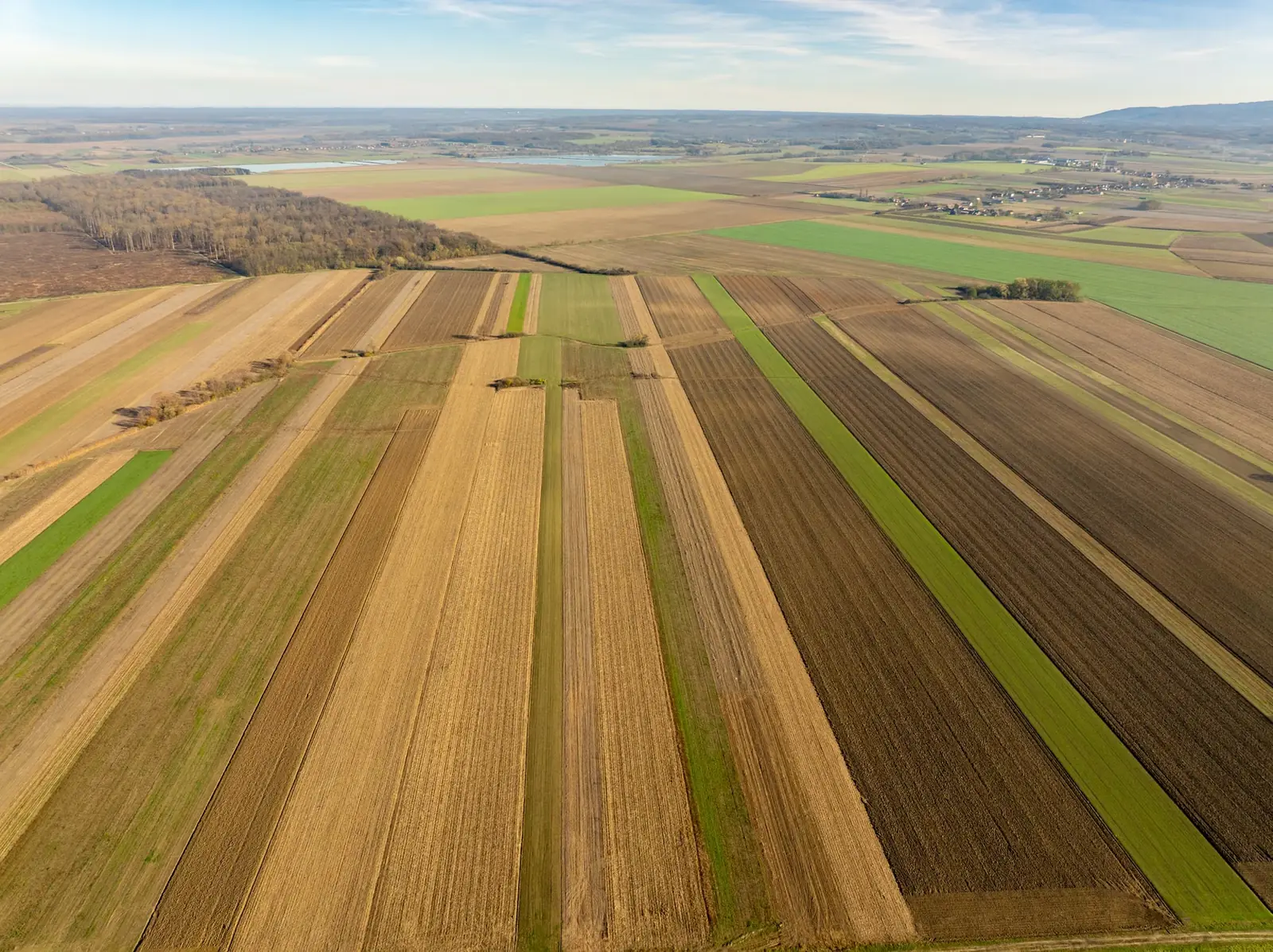 Vue aérienne d'un plateau agricole en lanières, parcelles labourées et bandes enherbées jusqu'à l'horizon